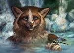  5_fingers anthro arthropod blue_eyes brown_fur brown_nose canine day detailed_background female fox fur insect mammal outside partially_submerged solo water waterfall whiskers white_fur wolnir 