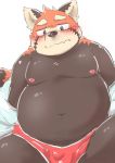  2018 ailurid anthro belly blush bulge clothed clothing kota&acute; male mammal moobs navel nipples open_shirt overweight overweight_male red_panda shirt simple_background solo underwear undressing white_background 