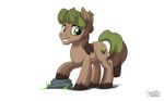  brown_fur brown_hair cutie_mark equine fan_character fur green_eyes green_hair hair hooves mammal my_little_pony mysticalpha simple_background smile solo standing white_background 