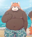  2018 ailurid anthro beach belly blush clothing humanoid_hands kota&acute; male mammal moobs navel nipples overweight overweight_male red_panda seaside solo swimsuit tongue tongue_out water 