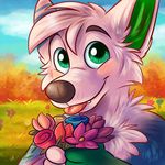 2016 anthro biped blue_fur blue_markings blue_sky blush brown_nose bushes bust_portrait canine cheek_tuft cloud cute cute_fangs daww day detailed_background digital_media_(artwork) ear_markings eyebrows facial_markings fangs flower front_view fur grass green_eyes green_fur green_markings hair holding_flower holding_object looking_at_viewer male mammal markings multicolored_fur outside pakz pink_fur pink_hair pink_tongue plant portrait sky smile snout solo tongue tongue_out tuft waywardmutt wolf 