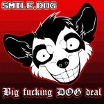  2014 album_cover canine cover dog feral grin headshot husky insane male mammal music profanity siberian_husky smile smile.dog solo text unknown_artist 