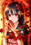  autumn_leaves bad_id bad_pixiv_id ball bangs black_hair blurry blush depth_of_field hair_between_eyes hair_down hair_ornament japanese_clothes kimono leaf long_hair looking_at_viewer love_live! love_live!_school_idol_festival love_live!_school_idol_project maple_leaf morizono_shiki outdoors red_eyes smile solo temari_ball upper_body yazawa_nico 