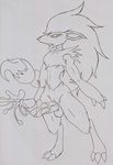  dark-moltres pokemon tagme zoroark 