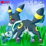  glaceon pokemon tagme umbreon 