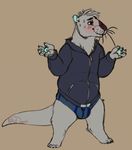  animated anthro blush bulge chase_the_otter clothing male mammal mustelid nikodavis otter shrug smile solo underwear 