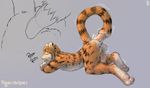  anal anthro digitigrade feline male mammal mot pawpads paws penis simple_background solo tail_penis tiger tigerstripes 
