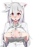  albino animal_ears bangs blush breasts button_gap cat_ears cleavage dress_shirt dungeon_and_fighter gh hair_between_eyes large_breasts looking_at_viewer open_mouth paizuri_invitation presenting red_eyes shirt solo unbuttoned upper_body white_hair white_shirt 