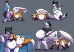  anthro awkore booshie briefs canine clothing digitigrade feral fox male male_pregnancy mammal neckerchief pants possumfox pregnant shirt shopping_bags simple_background sofa underwear wings wolf 