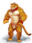  anthro balls feline iceman1984 male mammal nipples penis tiger 
