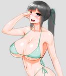  1girl bikini black_eyes black_hair breasts cleavage green_bikini green_swimsuit large_breasts long_hair original ponytail smile solo sweat swimsuit wolffeld 