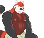  biceps fur male mammal nipples pecs rain-yatsu red_panda 