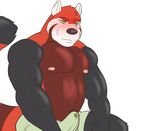  biceps bulge fur male mammal nipples pecs rain-yatsu red_panda 
