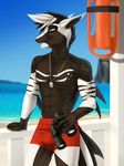  anthro beach binoculars bulge clothing elvofirida fish hair jewelry male marine necklace open_mouth seaside shark smile solo standing swimming_trunks swimsuit 