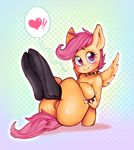  ! &lt;3 2016 bizounette blush butt clothing collar equine female feral friendship_is_magic hair hi_res legwear looking_at_viewer mammal my_little_pony pegasus purple_eyes purple_hair pussy scootaloo_(mlp) simple_background sitting smile socks solo wings 