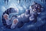  2016 amber_eyes ambiguous_gender blue_fur day feline feral flashw fur ice lying mammal nude one_eye_closed outside pawpads paws pink_nose smile solo tiger whiskers 