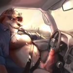 2016 anthro biped black_nose bottomless brown_fur canine car cigarette clothed clothing cum cum_on_chest cum_on_penis cum_on_self cum_on_stomach detailed_background digital_media_(artwork) dog erection fur grin hat hi_res humanoid_penis inner_ear_fluff kalchivo looking_at_viewer male mammal manly multicolored_fur navel nipples open_shirt penis pink_nipples pink_penis raised_shirt seatbelt signature sitting sky slightly_chubby smoking snout solo teeth two_tone_fur uncut vehicle vein veiny_penis white_fur 