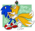  2016 anthro canine christmas clothing fox fur gloves hedgehog holidays male mammal miles_prower sonic_(series) sonic_the_hedgehog unbreakablebond video_games 