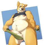  anthro balls big_shiba bottomless canine clothed clothing dog erection facial_piercing half-erect humanoid_penis looking_at_viewer looking_down low-angle_view male mammal moobs navel nipple_piercing nipples nose_piercing overweight penis piercing pubes shiba_inu shirt_up solo toomanyboners towel uncut 