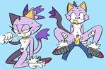  blaze_the_cat cum handjob nude on_top pussy reverse_cowgirl_position sex sonic_(series) sonic_the_hedgehog wispowillo 