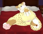  bed bedroom butt cheetah feline female fightmeatpax fluffy fur mammal pawpads paws pillow presenting pussy seducing smile smirk solo spots spreading svenja teasing 