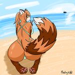  anthro beach big_butt breasts brown_fur butt claws clothing feet female fur green_eyes looking_at_viewer looking_back mammal mature mature_female medizy orange_fur paws presenting rear_view red_fur red_panda seaside simple_background smile solo swimsuit taohua thick_tail water 