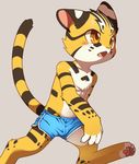  4_fingers anthro black_fur brown_eyes bulge clothed clothing cub feline fur hindpaw male mammal navel orange_fur paws raier shorts simple_background solo striped_fur stripes tan_fur topless unrealplace walking young 