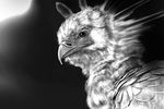  2016 ambiguous_gender avian beak bird black_and_white carrot_(artist) crest feathered_crest feathers feral headshot looking_at_viewer monochrome portrait realistic secretary_bird simple_background solo 