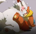  buizel pokemon tagme zangoose 