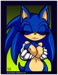  rule_63 sonic_team sonic_the_hedgehog sonicdash tagme 