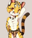  anthro black_fur blush briefs brown_eyes bulge chest_tuft clothed clothing cub feline fur grey_background looking_at_viewer male mammal navel orange_fur raier simple_background solo striped_fur stripes tongue tongue_out topless tuft underwear unrealplace white_fur young 
