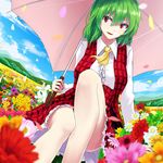  album_cover ascot cloud cover day din_(flypaper) dutch_angle field flower flower_field green_hair kazami_yuuka long_sleeves parasol plaid plaid_skirt plaid_vest red_eyes shirt short_hair skirt skirt_set sky solo touhou umbrella vest 