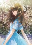 :d blue_dress brown_eyes brown_hair commentary_request dress floral_background flower fly_(marguerite) hair_over_eyes leaf long_hair looking_at_viewer looking_to_the_side open_mouth original sash short_sleeves smile solo standing 
