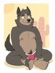  4_fingers 5_fingers body_hair briefs brown_fur bulge canine clothing cute_fangs feet fur happy_trail male mammal nipple_piercing nipples piercing sitting solo sugaryhotdog_(artist) underwear wolf yellow_sclera 