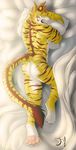  2015 butt feline male mammal nude pillow shynjy sleeping solo source_request tiger 