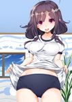 alternate_costume blue_buruma blue_sky breasts buruma gym_uniform highres inu3 kantai_collection long_hair looking_at_viewer low_twintails medium_breasts open_mouth plant purple_hair red_eyes shirt shirt_lift short_sleeves sky solo taigei_(kantai_collection) twintails window 