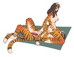  breasts erection faint feline female male mammal nipples oral tiger 