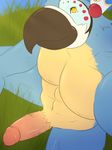  abs anthro avian beak bird breath_of_the_wild close-up erection feathers kass_(zelda) looking_at_viewer macaw manly navel nintendo nude outside parrot pecs penis rohyurdyns sitting smile spread_legs spreading the_legend_of_zelda vein veiny_penis video_games 