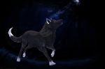  billy_wolf canine feral male mammal moonlight solo wolf 