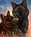  2016 black_fur black_lips black_nose brown_eyes brown_fur canine duo feral flashw fur green_eyes mammal nude sitting sky smile wolf 