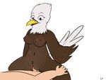  2016 anthro avian beak bestiality bird black_eyes breasts brown_feathers duo eagle feathers female feral human human_on_anthro human_on_feral interspecies invalid_tag lf mammal nipples nude open_mouth penetration penis pussy pussy_juice sex simple_background sitting vaginal vaginal_penetration white_background winged_arms wings 