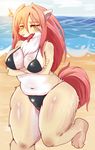  achakura anthro beach bikini canine chest_tuft clothing ear_piercing female looking_at_viewer mammal overweight piercing seaside shore solo standing sweat swimsuit tongue tongue_out tuft water 
