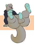  balls chase_the_otter clothed clothing male mammal mustelid otter paws rabidraccoon simple_background slightly_chubby solo spread_legs spreading tongue tongue_out 
