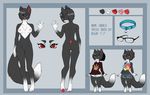  anthro breasts clothed clothing feline female hiddenwolf mammal model_sheet nipples nude pussy smile solo standing 