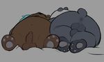  anus balls bear cartoon_network duo grizzly_(character) grizzly_bear male male/male mammal panda panda_(character) penis sleeping uncut unknown_artist we_bare_bears 