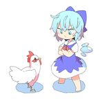  animal barefoot bird blue_dress blue_eyes blue_hair chicken cirno crossed_arms dress hair_between_eyes ice ice_wings looking_at_another moyazou_(kitaguni_moyashi_seizoujo) puffy_short_sleeves puffy_sleeves rooster short_hair short_sleeves simple_background standing touhou white_background wings zodiac 