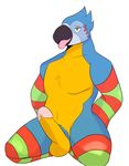  &lt;3 anthro avian balls beak bird breath_of_the_wild clothing erection feathers gloves kass_(zelda) legwear macaw male manly navel nintendo parrot pecs penis pubes sitting smile solo stockings the_legend_of_zelda thick_penis tongue tongue_out unknown_artist video_games 