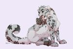  2016 antrage cat digital_media_(artwork) feline feral fur grey_fur kieran leopard licking mammal pawpads paws pink_nose simple_background snow_leopard solo spots spotted_fur toes tongue tongue_out white_fur 
