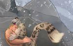 2017 anthro black_fur black_lips blonde_hair breasts claws cliff duo embrace eyes_closed feline female fur grey_fur hair hands_on_hips hattonslayden head_lick human human_on_anthro interspecies leopard lying male male/female mammal nude nuzzling on_side outside pink_tongue snow snow_leopard spots tender tongue whiskers white_fur 