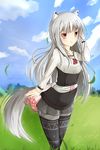  animal_ears bad_id bad_pixiv_id black_legwear cloud day grass highres long_hair misu_t_(ccc) myuri_(spice_and_wolf) outdoors pantyhose pantyhose_under_shorts red_eyes shinsetsu_spice_and_wolf shirt shorts silver_hair sky smile solo spice_and_wolf tail very_long_hair wind wolf_ears wolf_tail 